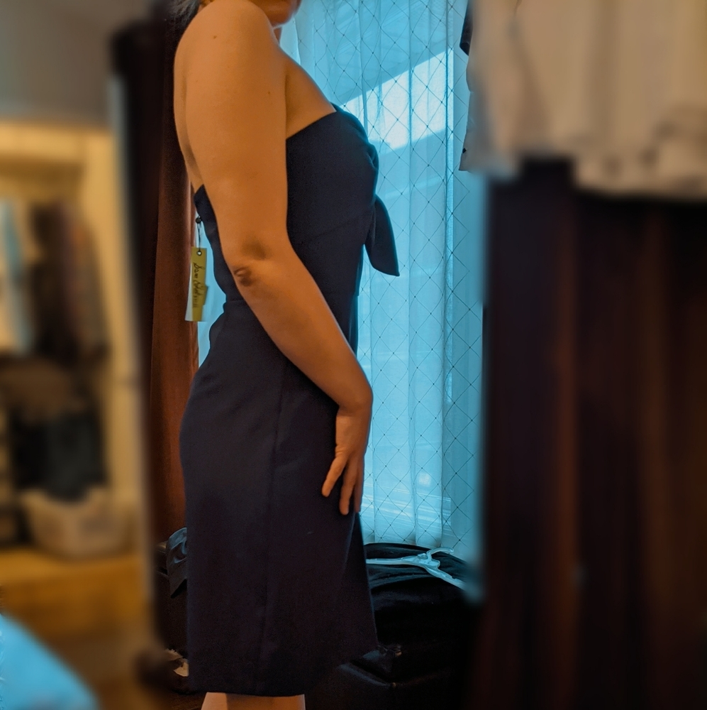 NWT Sam Edelman Bow Wrap Dress